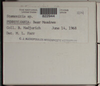 Image Associated With the Occurence